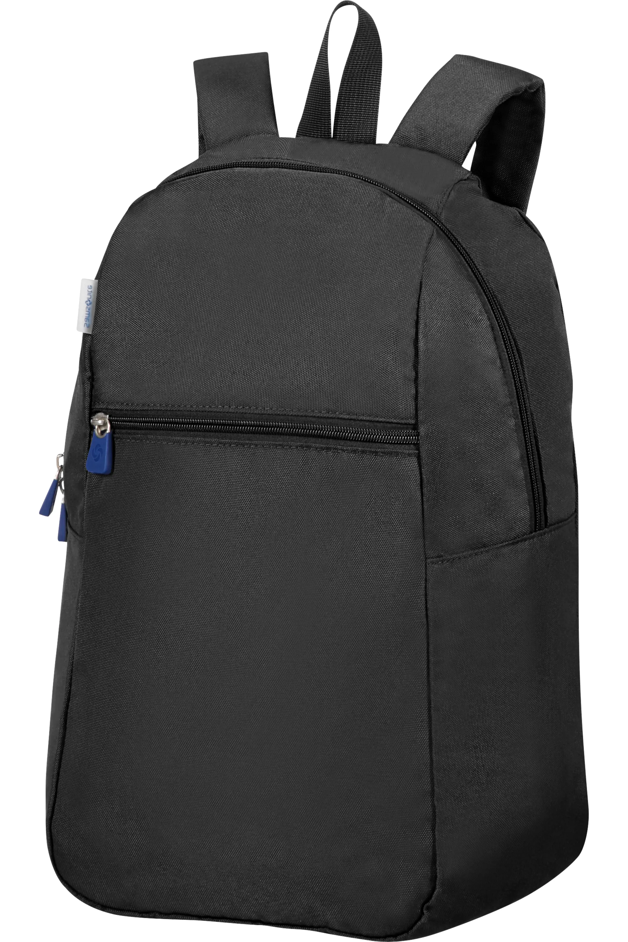 Samsonite Travel Bag