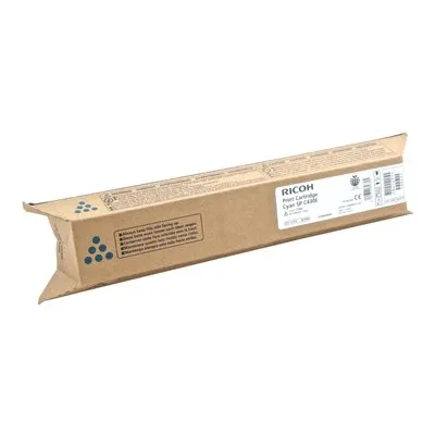 RICOH Toner 821280