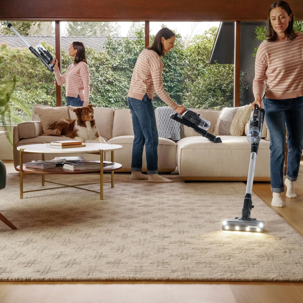 Bissell Powerclean FurFinder Pro -varsi-imuri