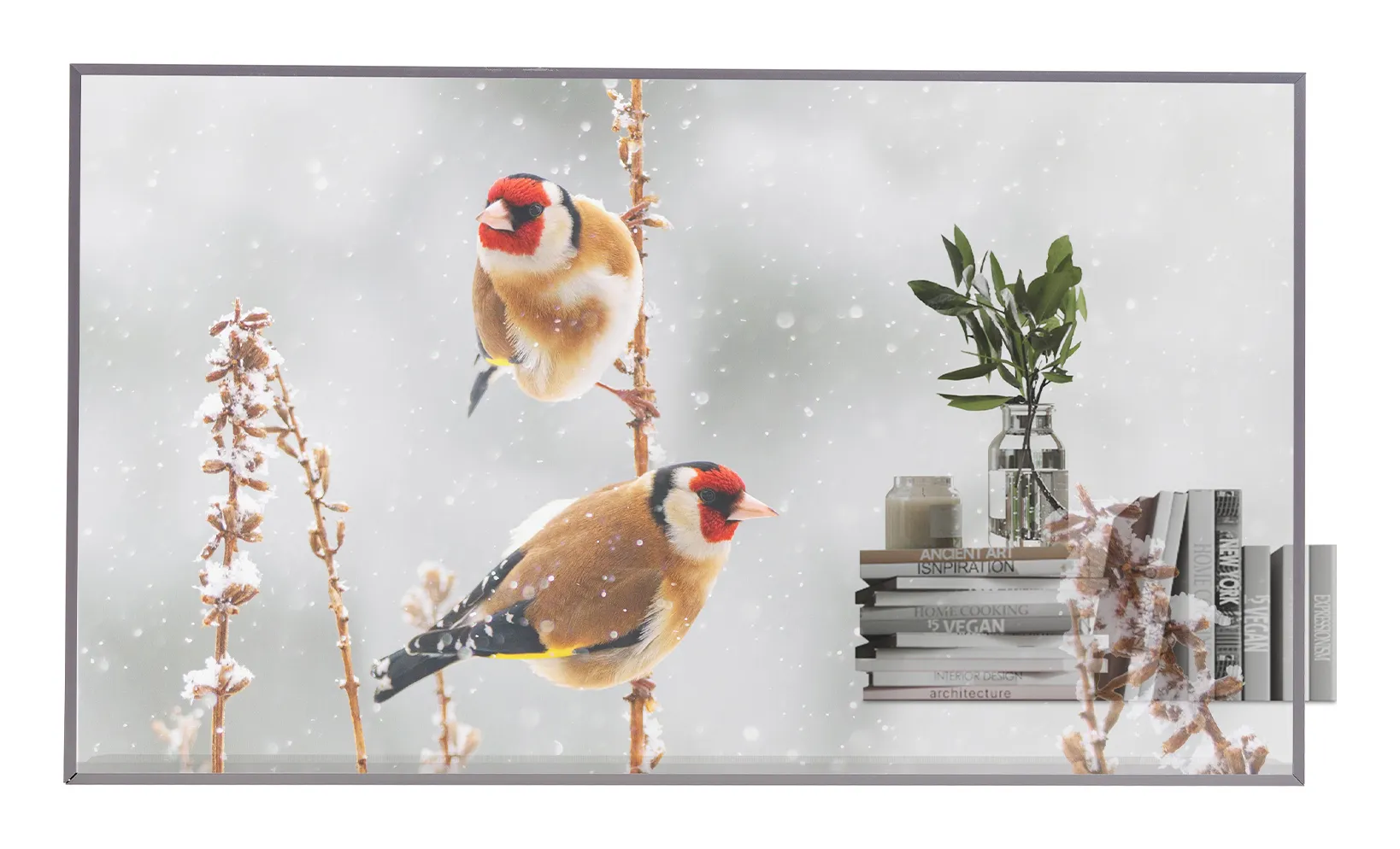 LG 55EW5P-M Signage Display 55inch OLED FHD