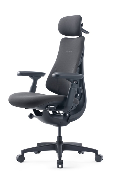 LiberNovo Omni Gen Dynamic - Ergonomisk stol, 48cm Graphite Gray