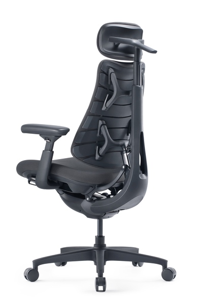 LiberNovo Omni Gen Dynamic - Ergonomisk stol, 48cm Graphite Gray