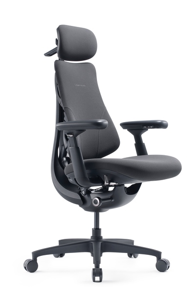 LiberNovo Omni Gen Dynamic - Ergonomisk stol, 48cm Graphite Gray