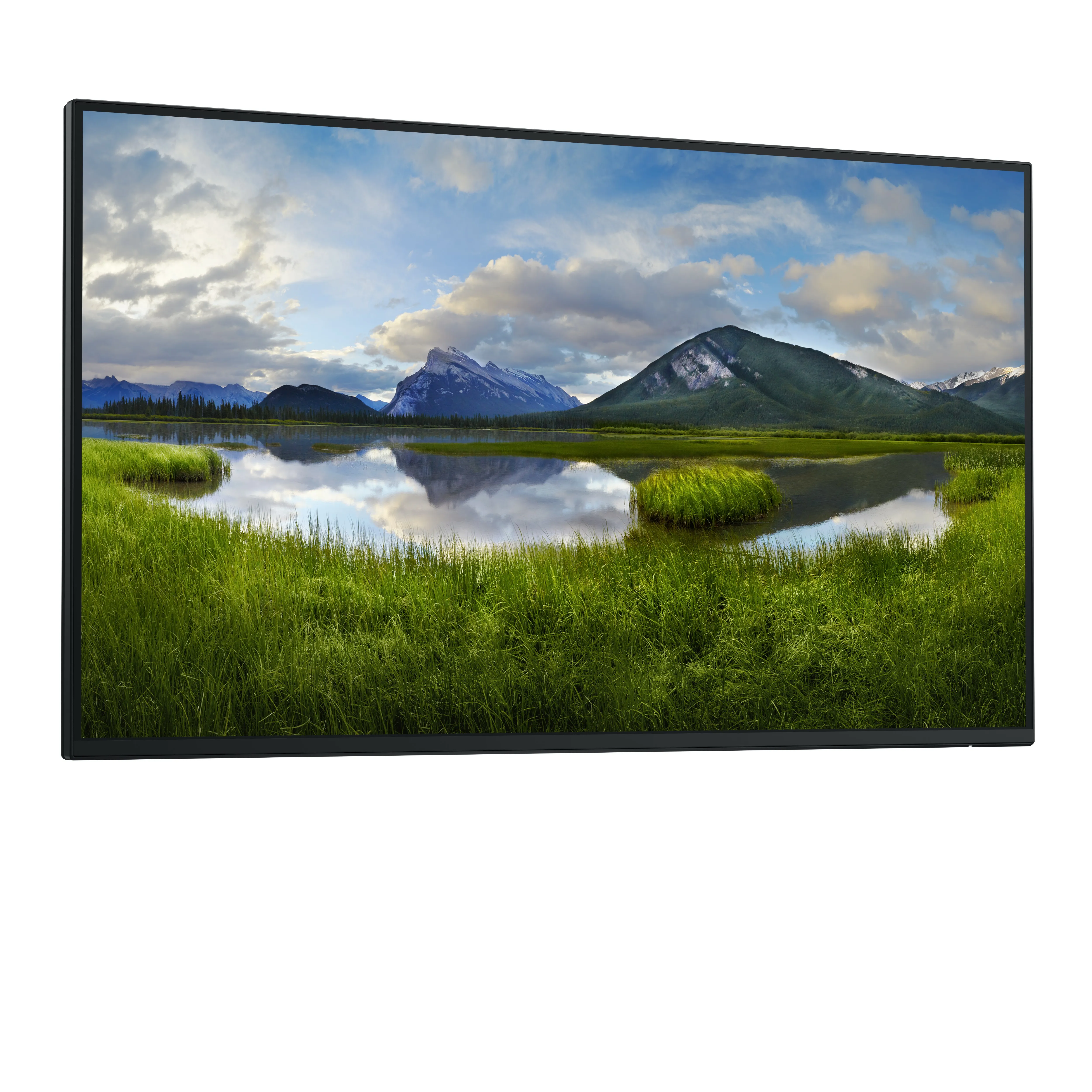 Dell Pro Plus P2725H 27&quot; Full HD, IPS - monitor (no stand)