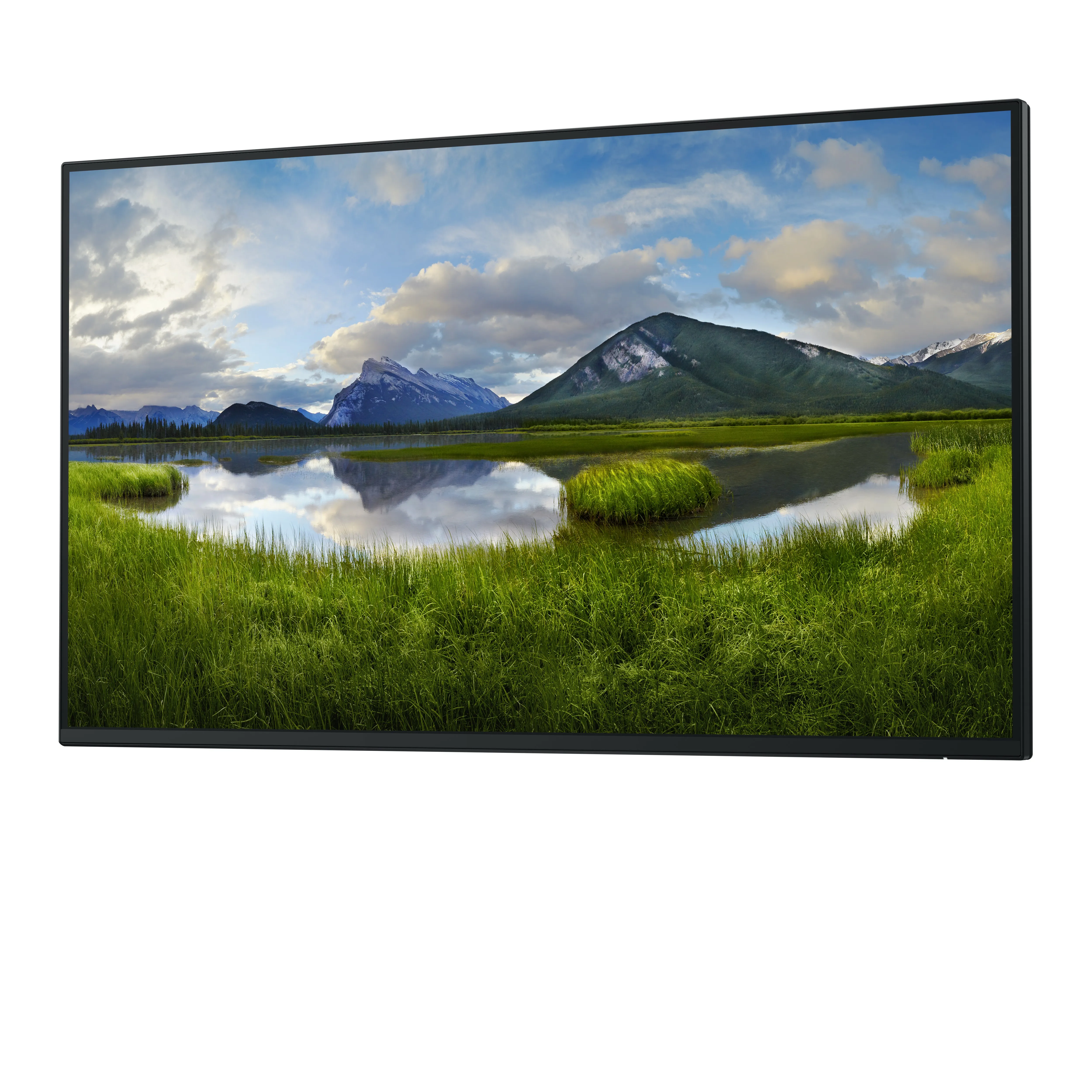 Dell Pro Plus P2725H 27&quot; Full HD, IPS - monitor (no stand)