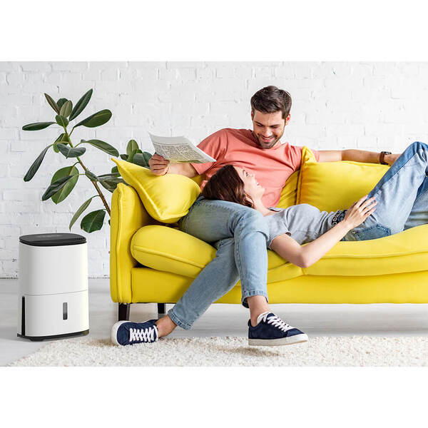 MEACO MeacoDry Arete One - Kosteudenpoistaja, 10L