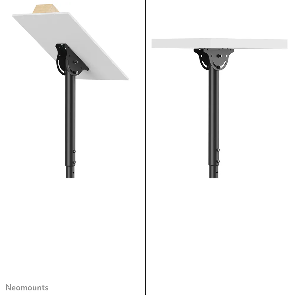 NEOMOUNTS FLAT SCREEN CEILING MOUNT (32-60&quot;) 50 KG BLACK