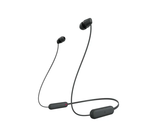 Sony WI-C100 Wireless Earbuds, Black