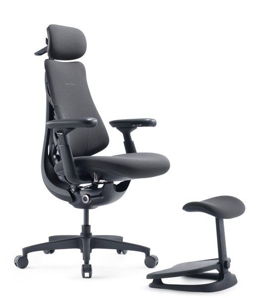 LiberNovo Omni Gen Dynamic Ergonomic Chair - 48cm Graphite Gray