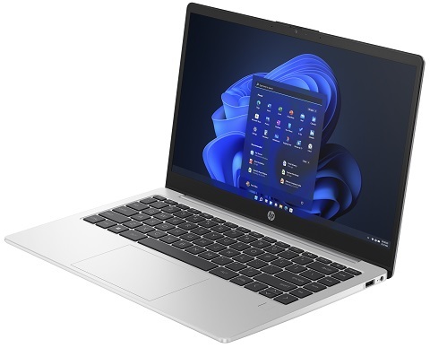 HP 250 G10 15.6" i3-100U, 8 GB, 512 GB, Win 11 Home - b&auml;rbar dator, m&ouml;rkt titansilver