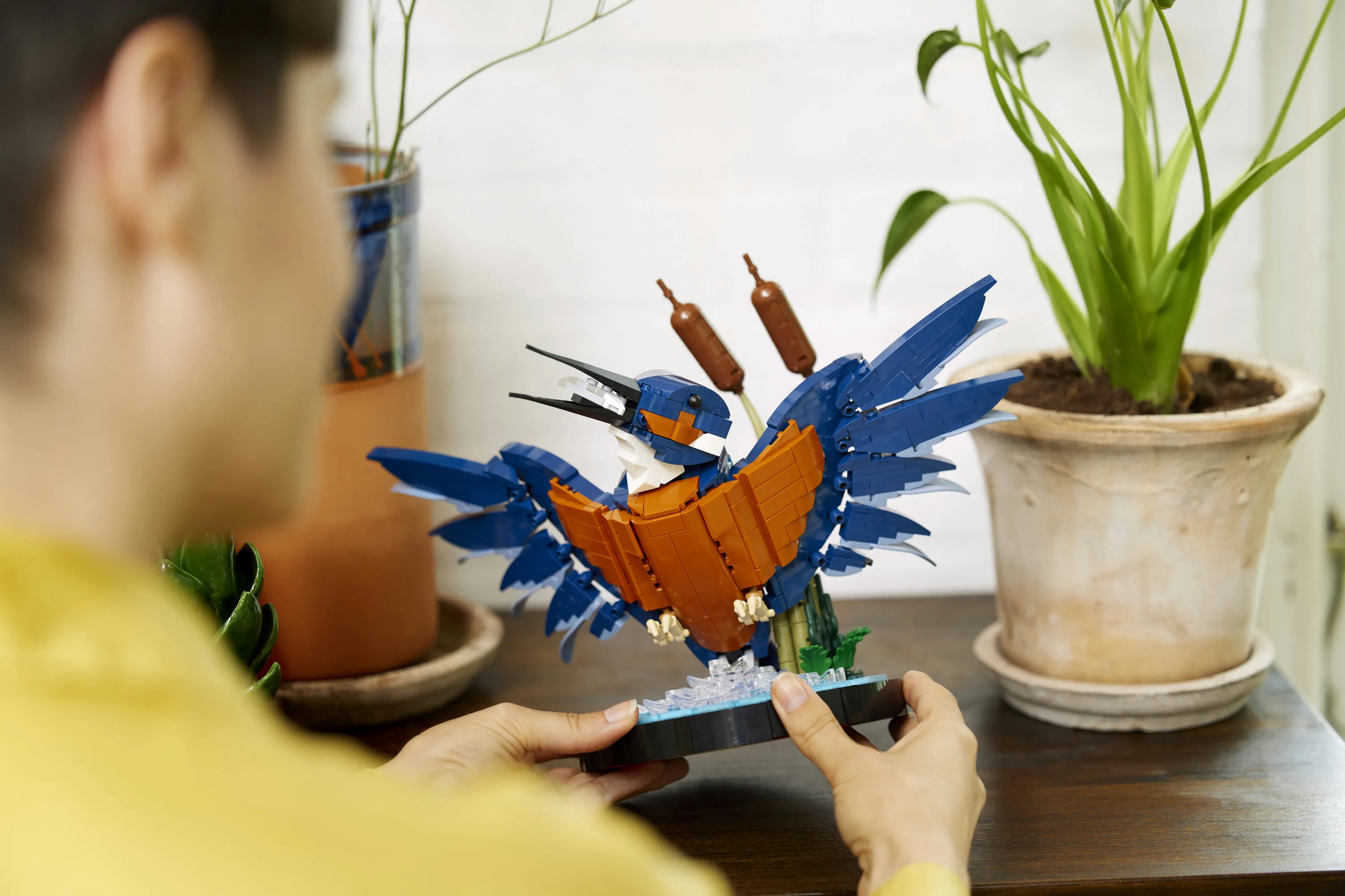 LEGO Icons Kingfisher 10331