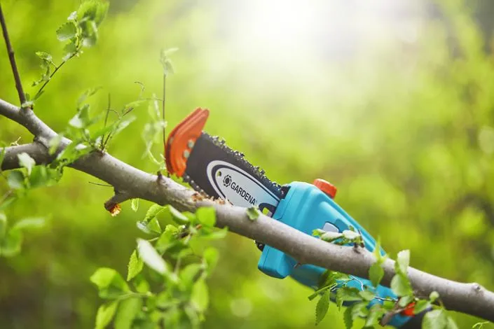 Gardena Battery Telescopic Pruner TCS 20/18V P4A