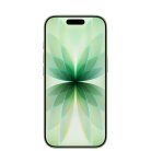 Apple iPhone 17 256GB - mobile phone, Sage
