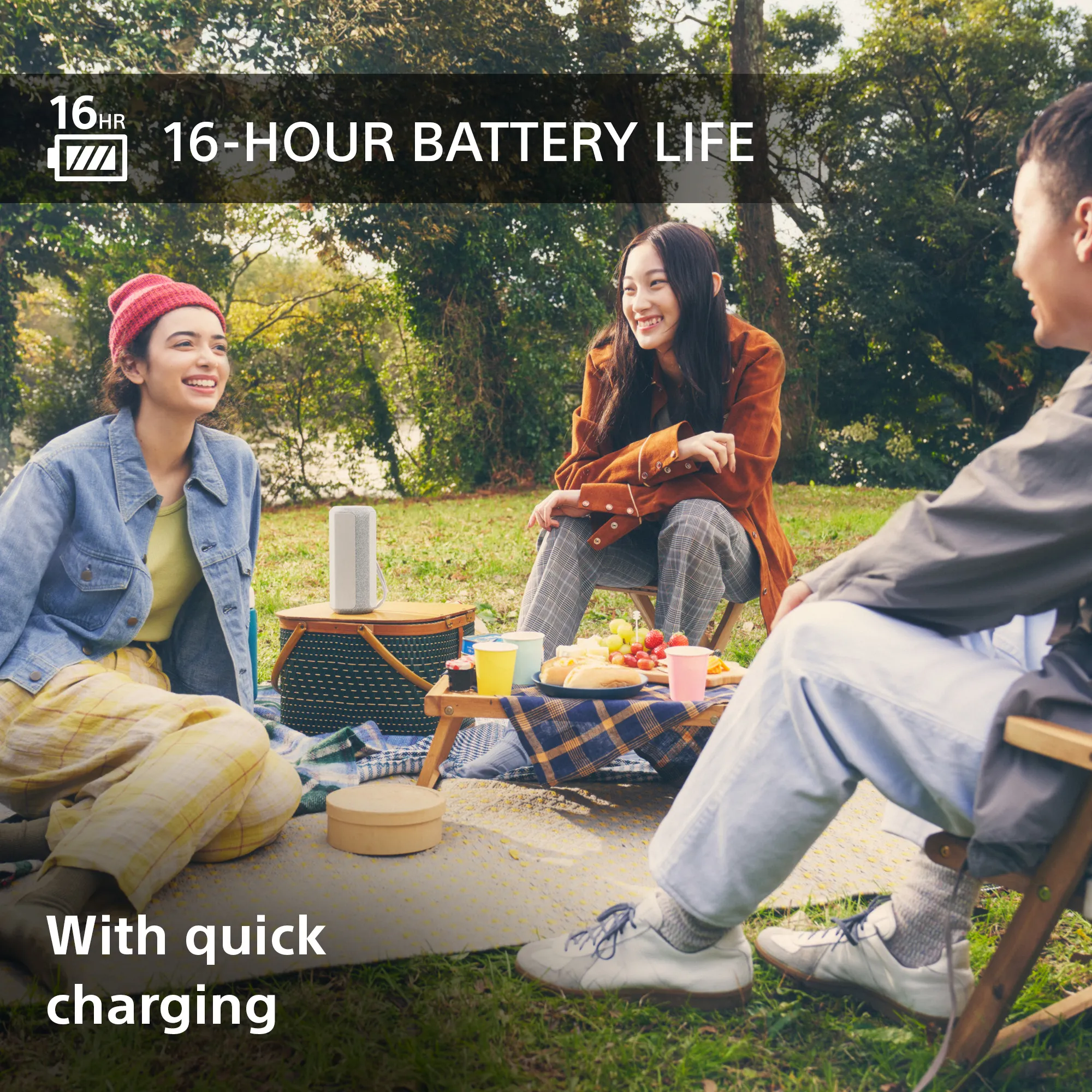 Sony SRS-XE200 - bluetooth speaker, silver