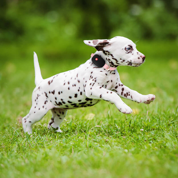 YEPZON Freedom henkil&ouml;kohtainen h&auml;lytin