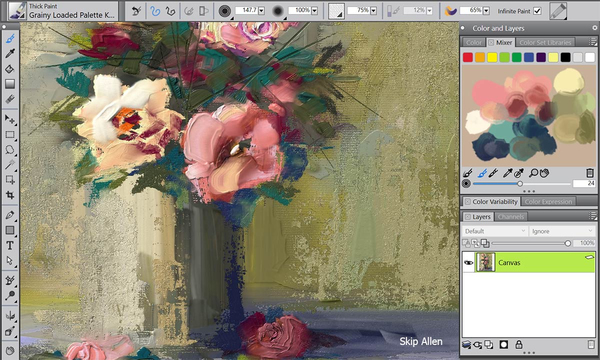 COREL Painter 2018 Upgrade (ML)