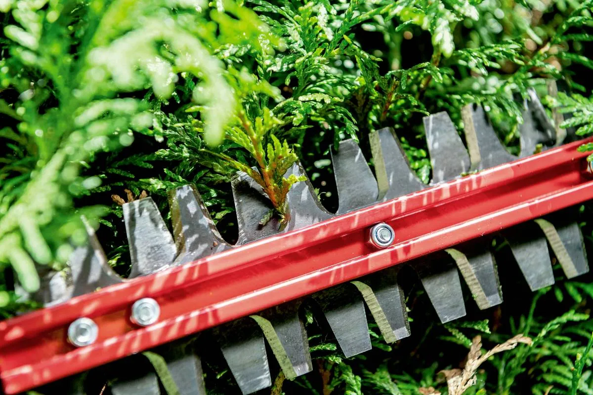 Metabo HS 18 LTX BL 55 H&aelig;ktrimmer 3400opm 55cm Klingel&aelig;ngde