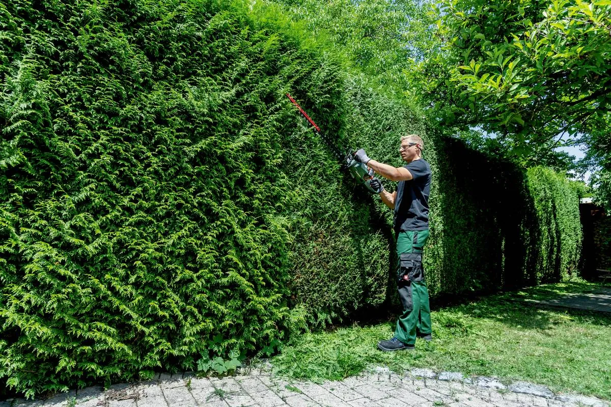 Metabo HS 18 LTX BL 55 Hæktrimmer 3400opm 55cm Klingelængde