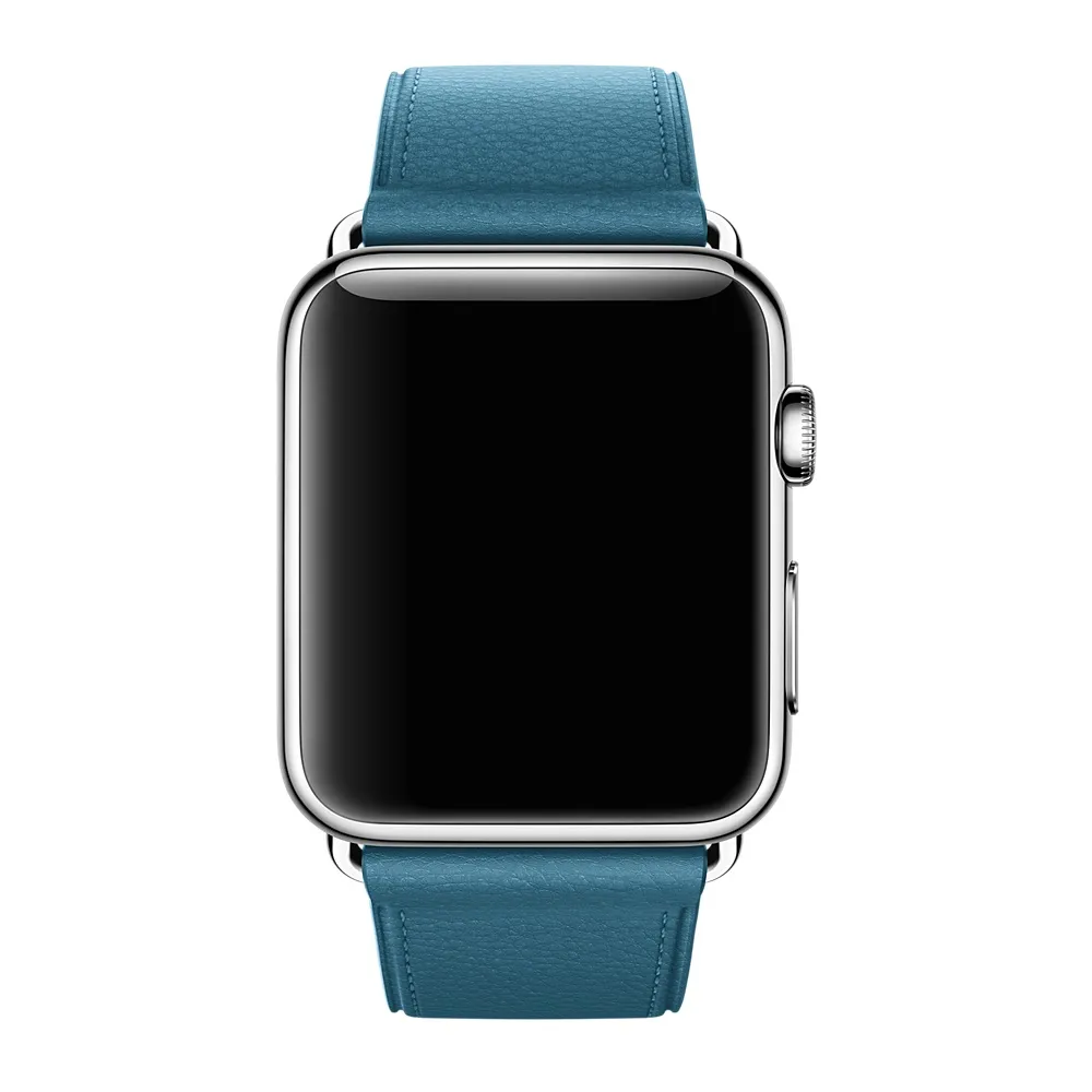 APPLE 42mm Marine Blue Classic Buckle