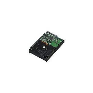 APPLE 1TB SATA, 3.5", SATA-300, 7200rpm, 32MB - HDD