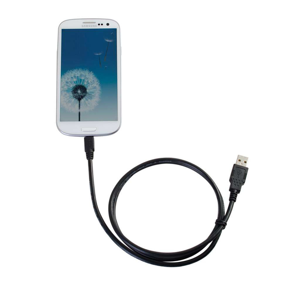 Cbl/6ft Samsung Galaxy Charge and Sync C