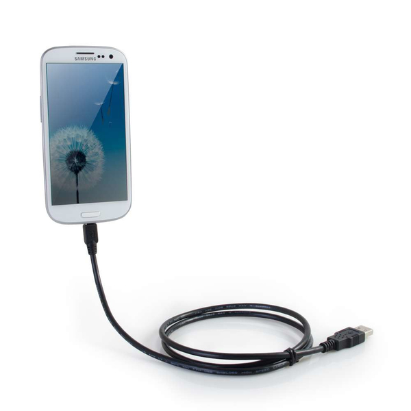 Cbl/6ft Samsung Galaxy Charge and Sync C