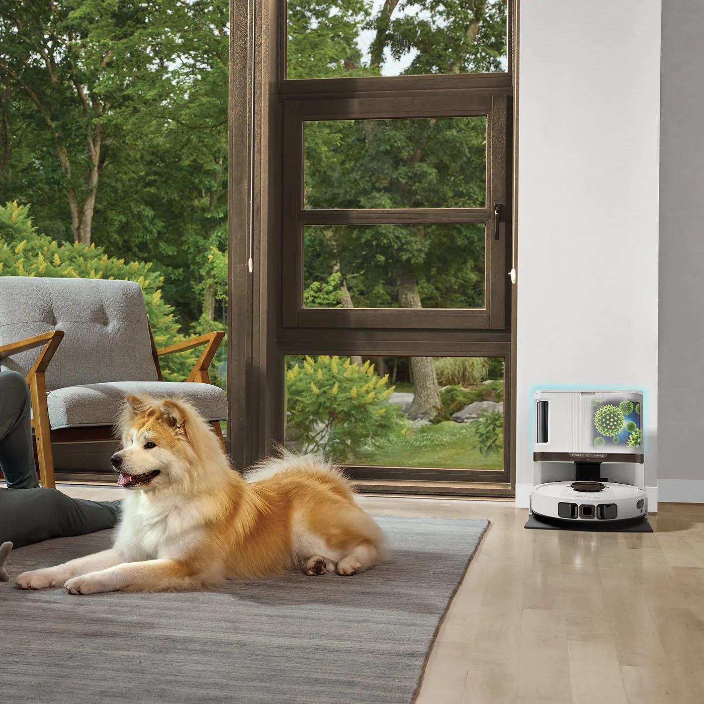 Shark PowerDetect NeverTouch Pro 2-in-1 RV2800ZEEUWH - robot vacuum, White