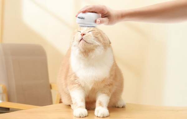 ROJECO Cat and Dog Steam Grooming Brush with Massage Function, White