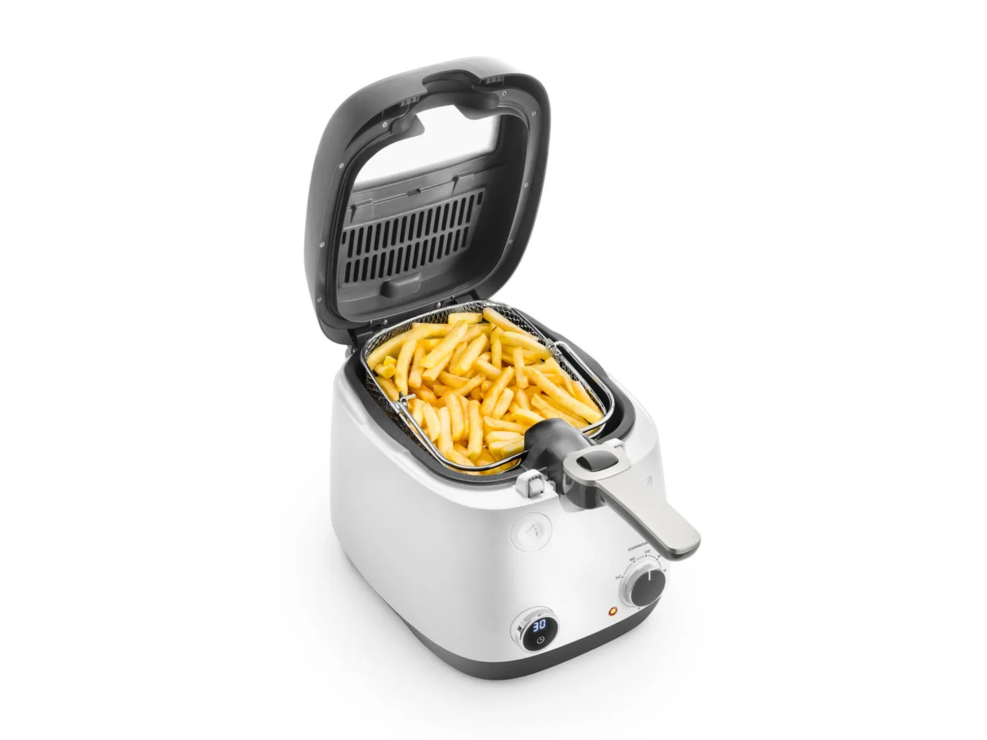 DeLonghi FS 6067 - deep fryer