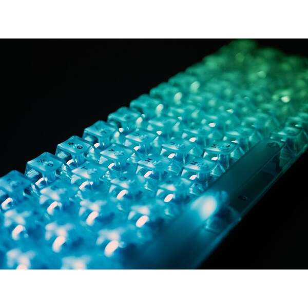 Arbiter Polar 65 HE Gaming Keyboard, Fuji Dual-Rail Magnetic, Phantom Clear