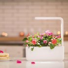 Click and Grow Smart Garden 3 Start kit - White