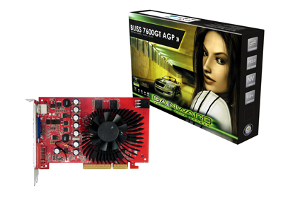 Gainward BLISS 7600GT 1,4NS DDR-3 AGP, (256 MB)