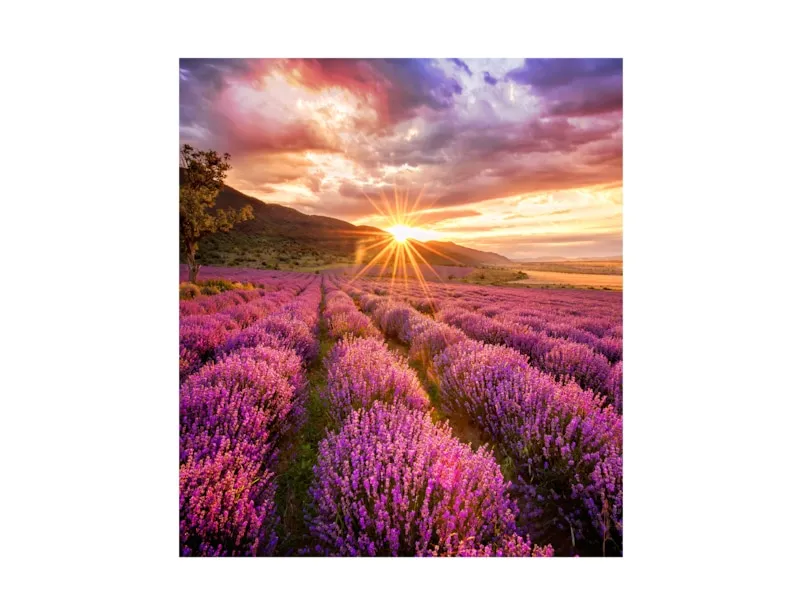 SAMSUNG SMART LED SIGNAGE INDOOR LED IF025H CABINET