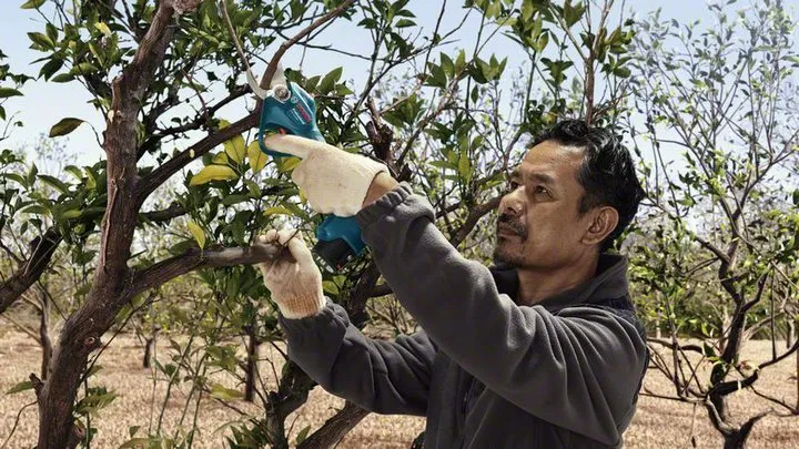 Bosch Pro Pruner Professional battery-powered grass shears