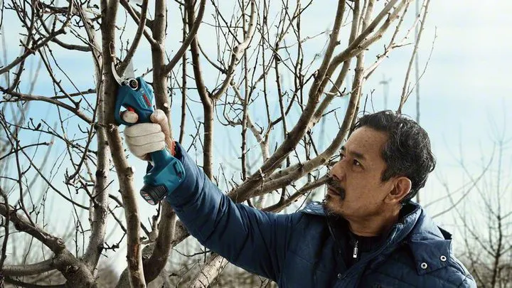 Bosch Pro Pruner Professional battery-powered grass shears