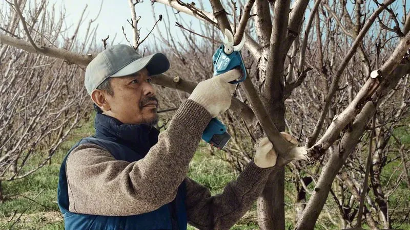 Bosch Pro Pruner Professional battery-powered grass shears