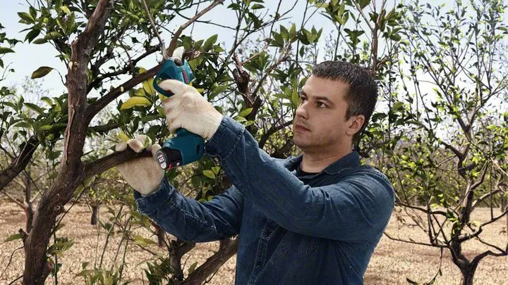 Bosch Pro Pruner Professional battery-powered grass shears