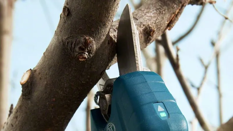 Bosch Pro Pruner Professional battery-powered grass shears