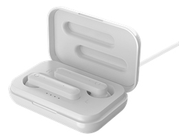 STREETZ True Wireless Stereo earbuds with charging case, semi-in-ear, BT 5, matte white