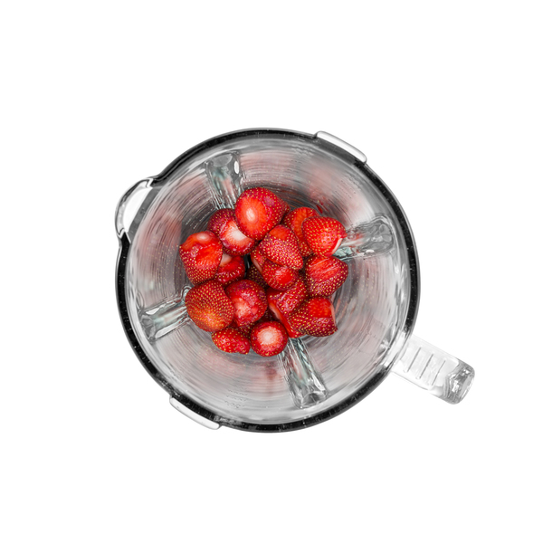 Champion Blender 1,5L Glass Jug