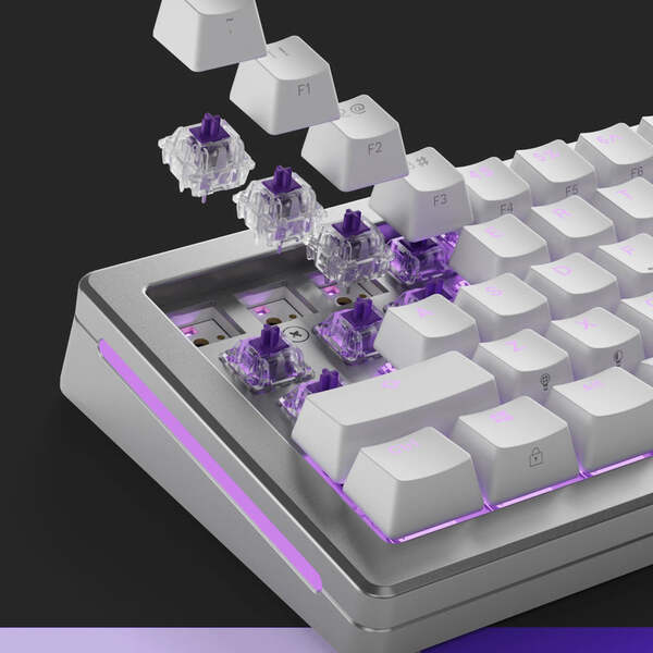 Glorious Mechanical Switches (110pcs) - Mako Ultralight - [Tactile] 40g