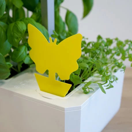 Veritable Yellow Sticky Insect Traps, 8 pieces