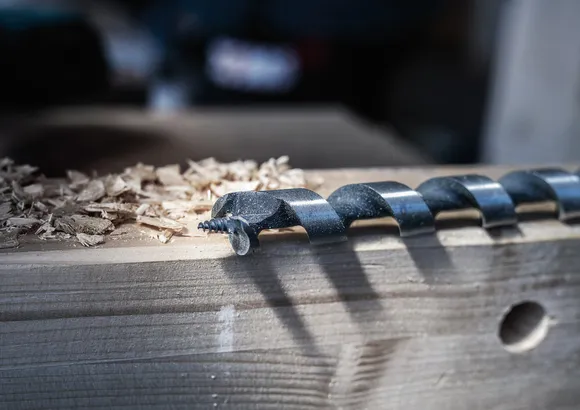 Bosch 20mm - wood drill
