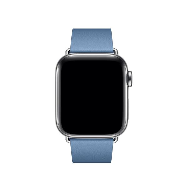Apple Watch 40mm Cornflower Modern Buckle - Large