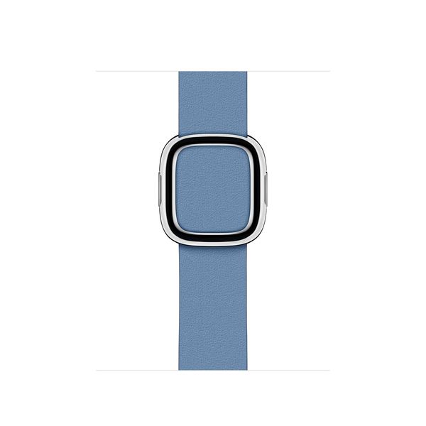 Apple Watch 40mm Cornflower Modern Buckle - Large