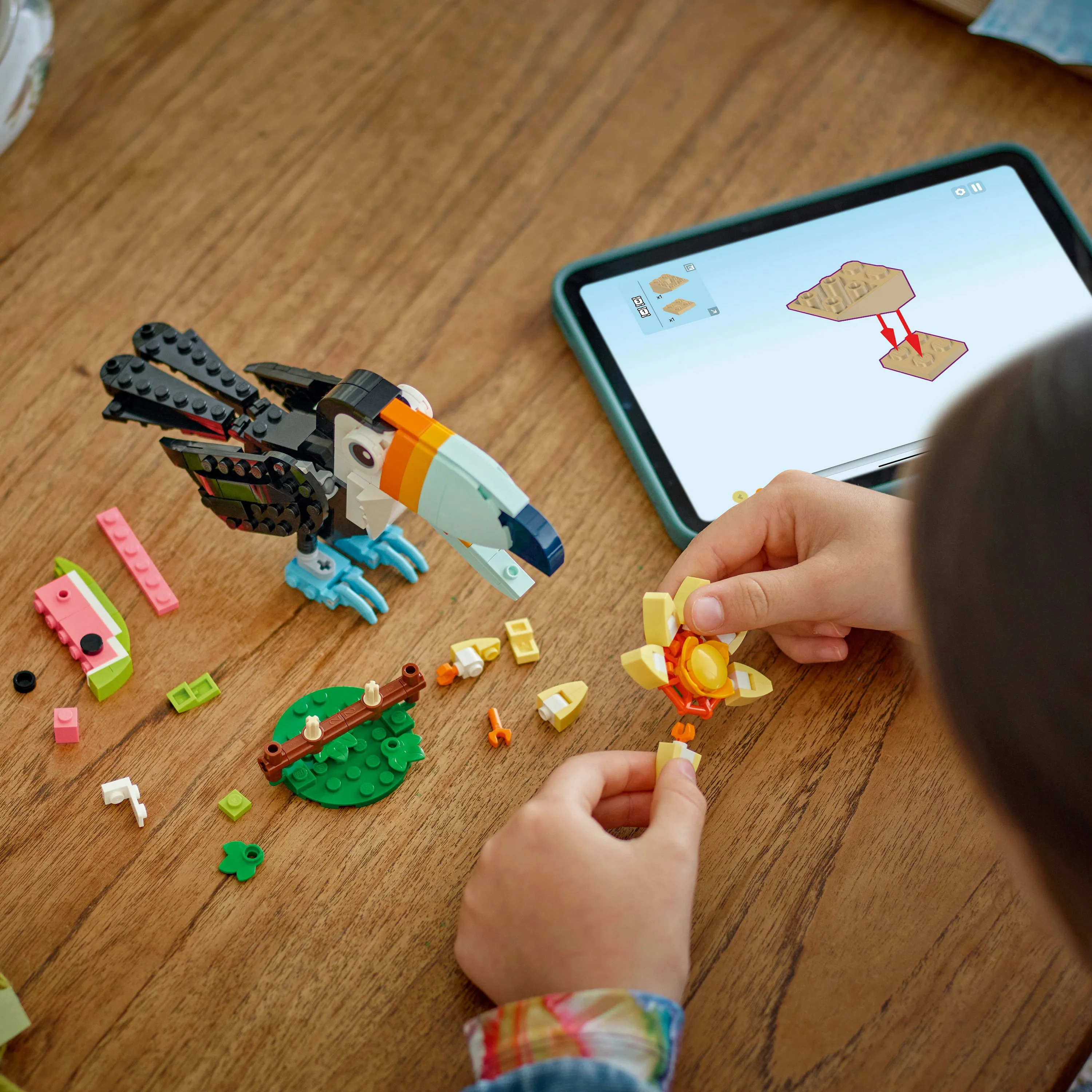 LEGO Creator 3-in-1 Wild Animals: Tropical Toucan 31173