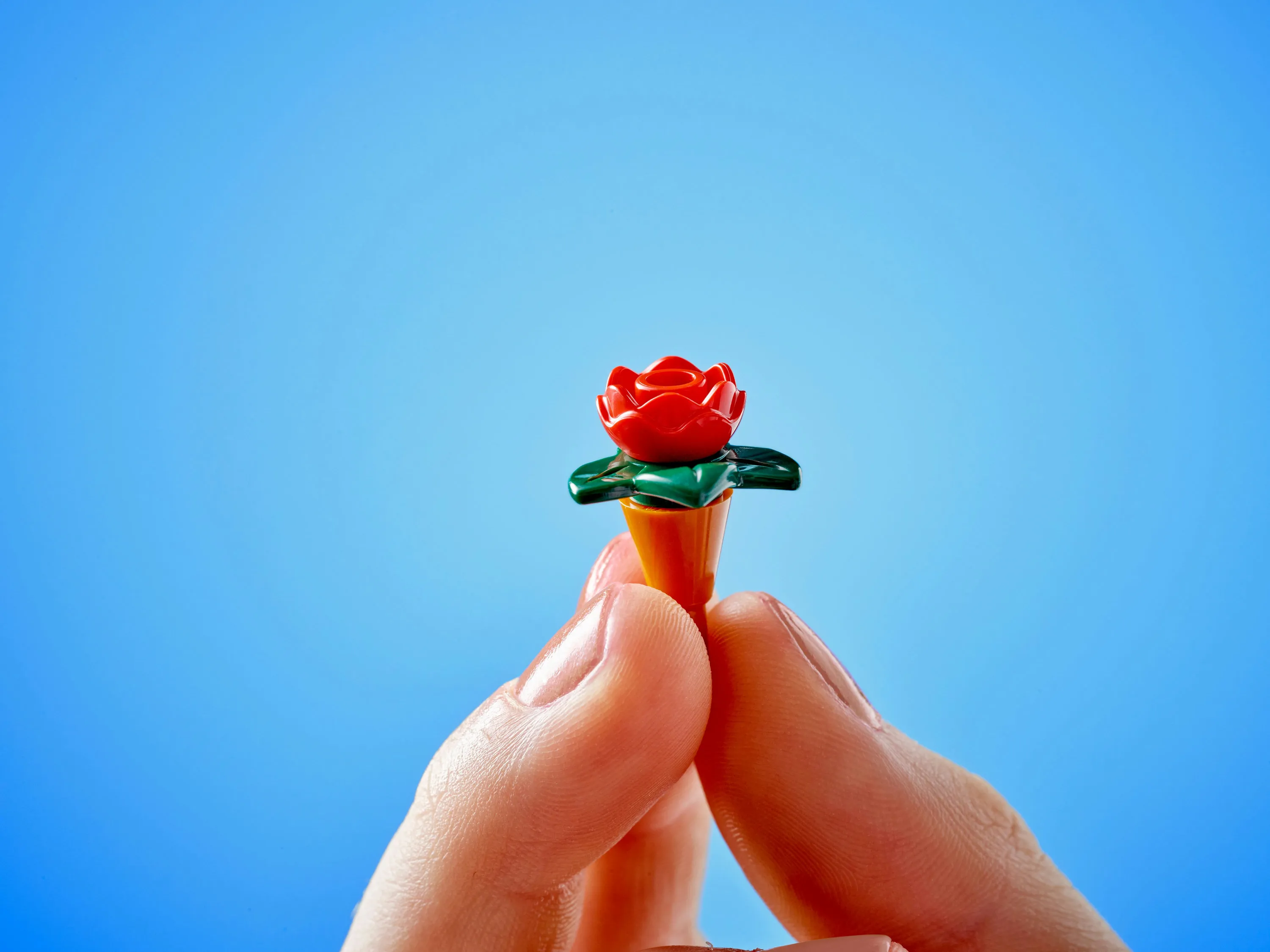 LEGO Friends Kasvikahvila ja kukkakauppa 42671