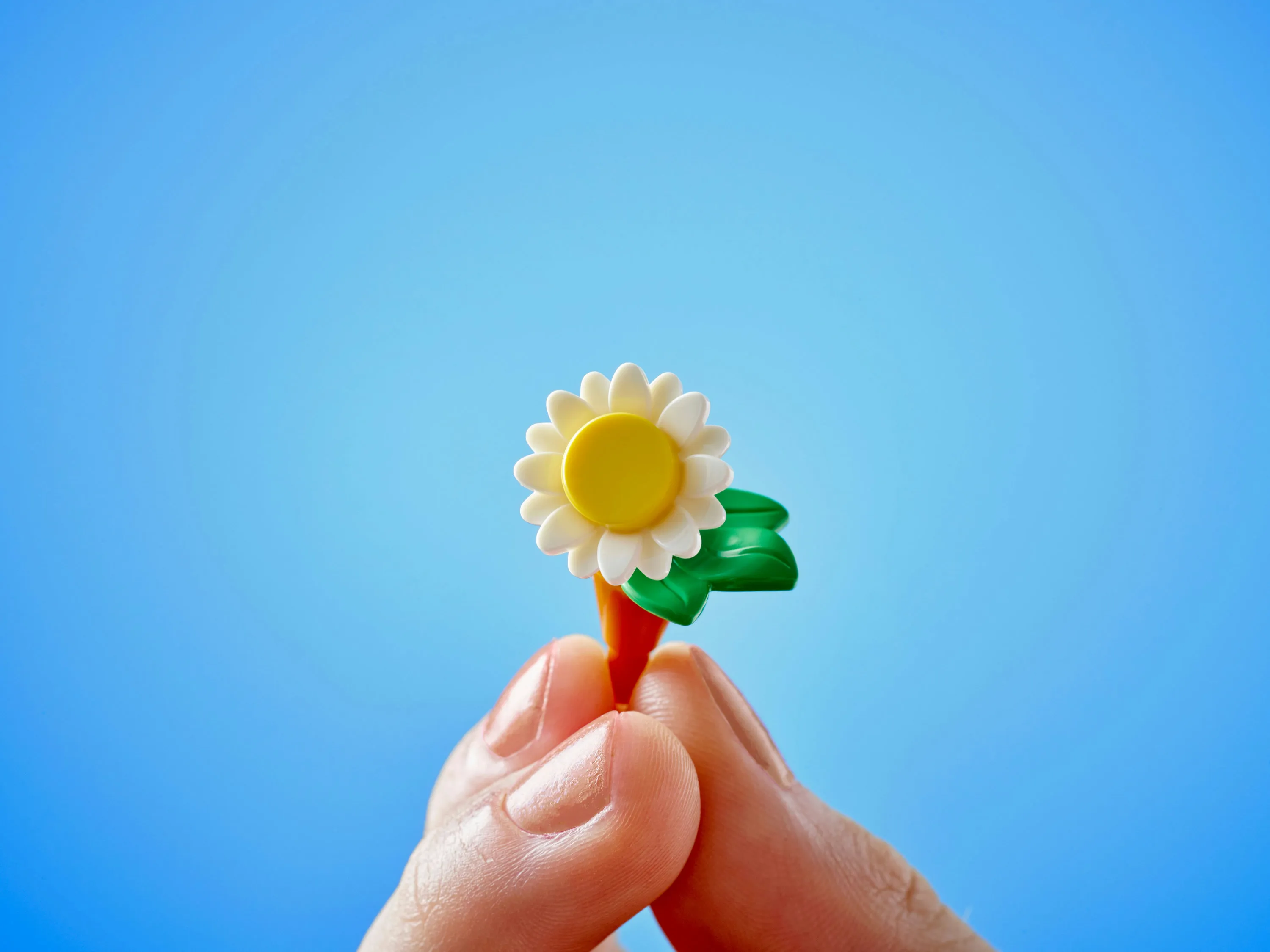 LEGO Friends Kasvikahvila ja kukkakauppa 42671