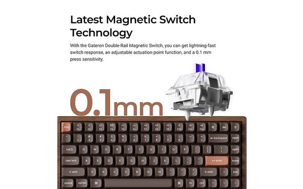 Keychron K2 HE SE All-Wood 75% Wireless Mechanical Ergonomic Gaming Keyboard, Gateron Double-Rail Magnetic, Walnut Wood / Black