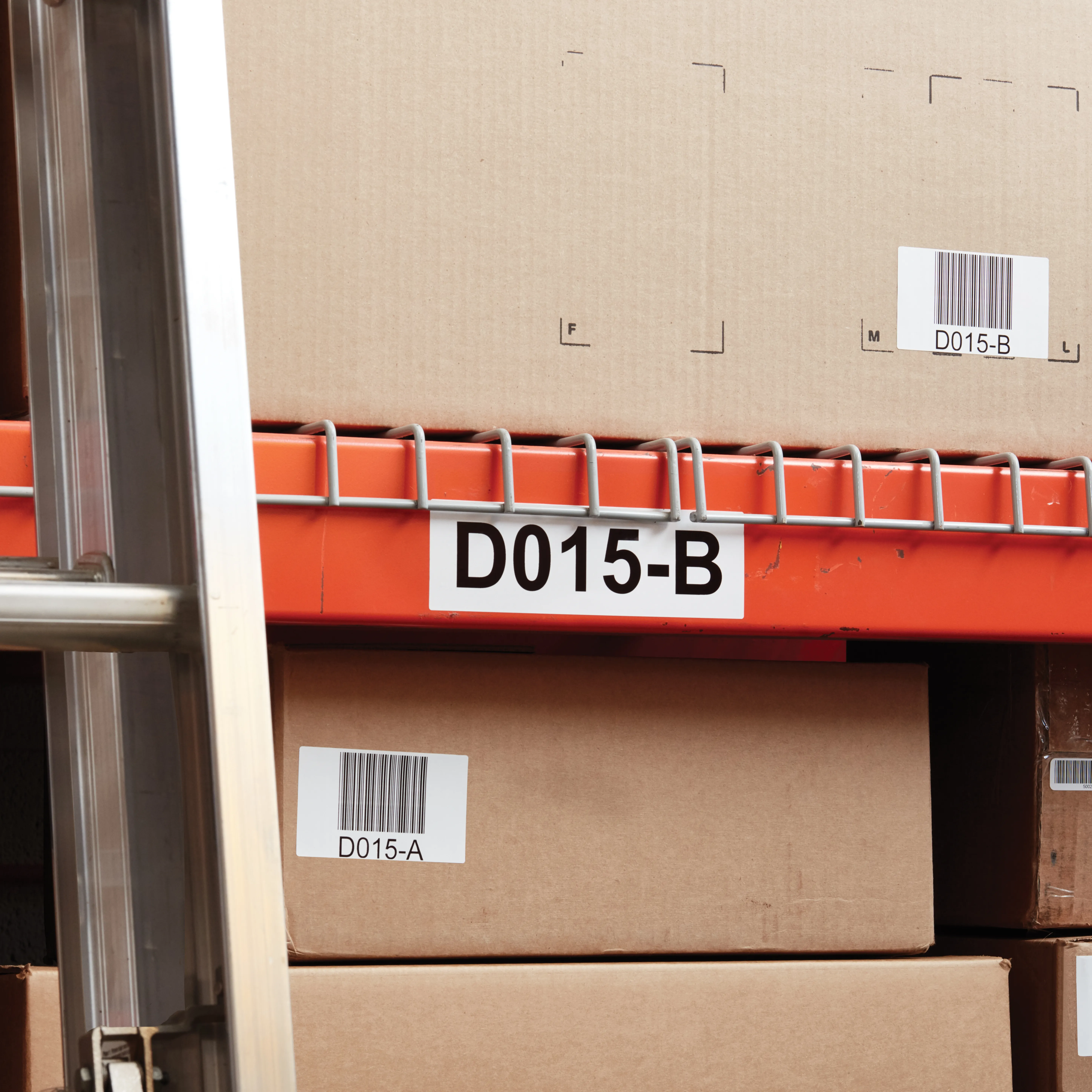 LabelWriter Durable shipping label 59mm x 102mm